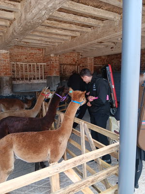 Event Moore Strings String Quartet Sheffield, South Yorkshire