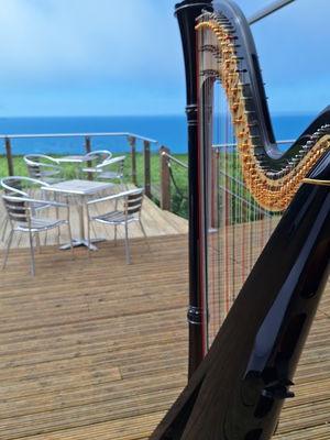 Event The Function Harpist Harpist Chester