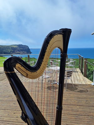 Event The Function Harpist Harpist Chester