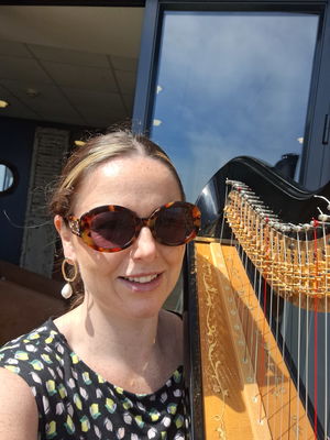 Event The Function Harpist Harpist Chester