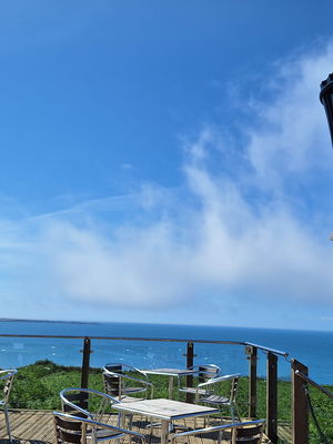 Event The Function Harpist Harpist Chester