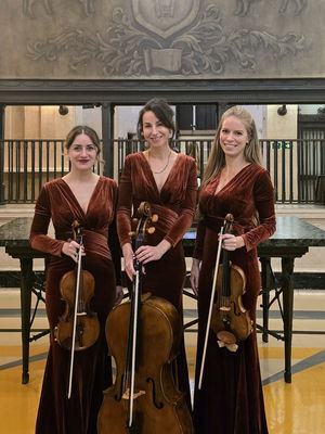Event Jasmine Strings String Quartet London