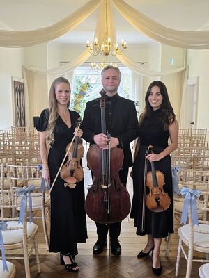 Event Jasmine Strings String Quartet London