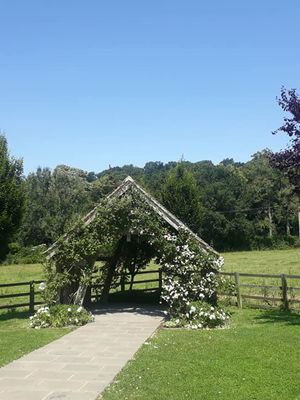 Event Egeria Strings String Quartet Surrey