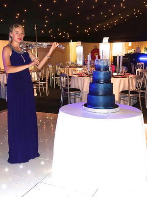 Event The Northern Violinist (Electric and Classical) Electric Violinist North Lincolnshire