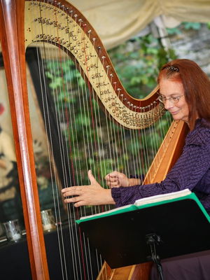 Event M F Harp (Harpist) Harpist Bristol, Somerset