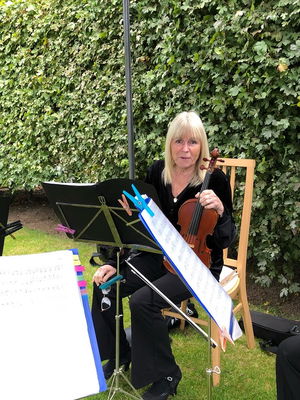 Event Canterbury Strings String Quartet Kent