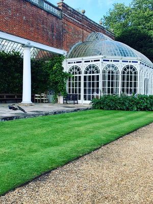 Event Jaguar Function Band London