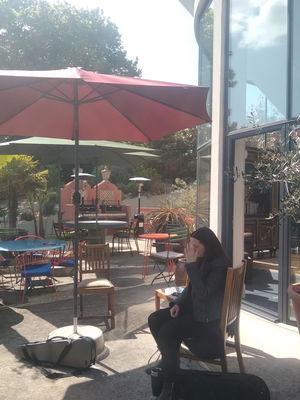 Event Egeria Strings String Quartet Surrey