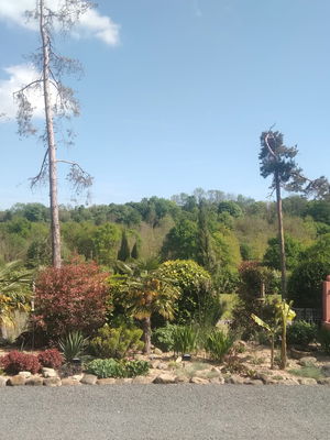 Event Egeria Strings String Quartet Surrey