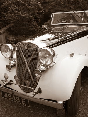 Event Comedy Paparazzi Street Performer East Sussex