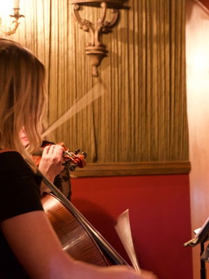 Event Venus Strings Violin and Cello Duo Worcestershire