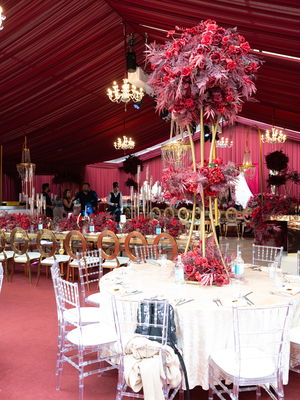 Event Comedy Paparazzi Street Performer East Sussex