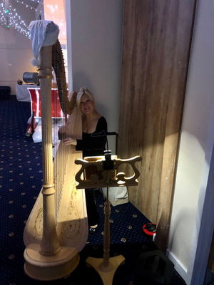 Event Berenice (Harpist) Harpist North Yorkshire