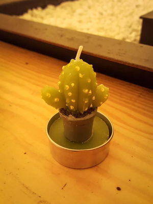 Event The Rips Function Band Northamptonshire