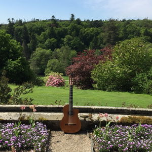 Dennis OKelly Classical Guitarist Wedding Devon