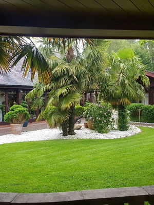 Event Switch Function Band Bristol