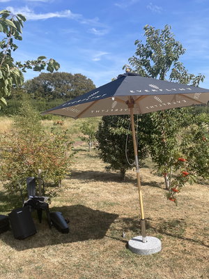 Wedding in West Sussex on 8 August 2026