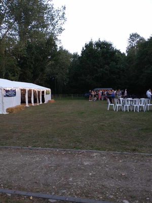 Event Crazy Nights Classic Rock Band West Sussex