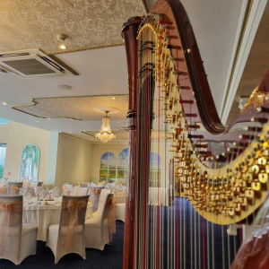 Lucy Harpist Harpist Review Wedding Wiltshire