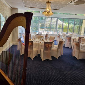 Lucy Harpist Harpist Review Wedding Wiltshire