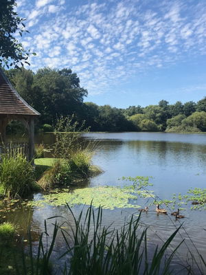 Event Emily Solo Artist, Duo or Trio Carmarthenshire