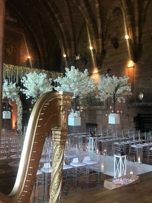 Event Jessica Louise (Harpist) Harpist Madeley, Cheshire