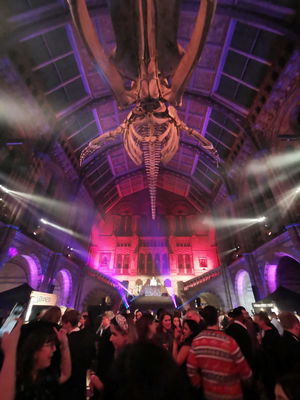 Event DJ Markus Wedding DJ Knaphill, Surrey