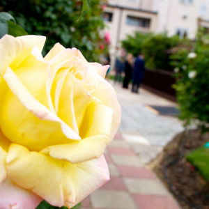 Happy Hour Function Band Review Wedding Surrey