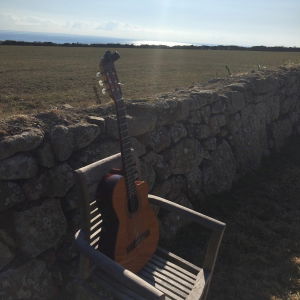 Tom C booked Dennis OKelly for  their wedding in Cornwall Dennis OKelly Classical Guitarist Review Wedding Cornwall