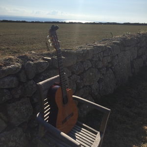 Dennis OKelly Classical Guitarist Wedding Cornwall