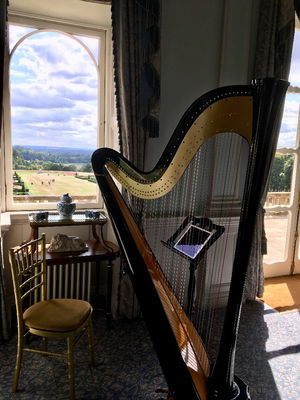 Event Cecile Harpist Harpist London
