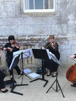 Event Prosecco Quartet String Quartet Malvern, Worcestershire