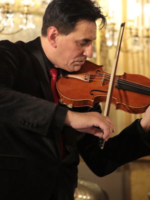 Event Garden String Quartet String Quartet London