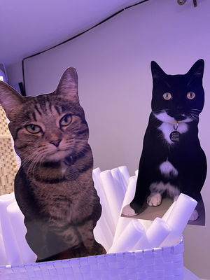 Event Happy Hour Function Band Kent