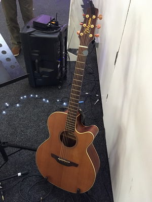 Event Steven J Singer Guitarist West Midlands