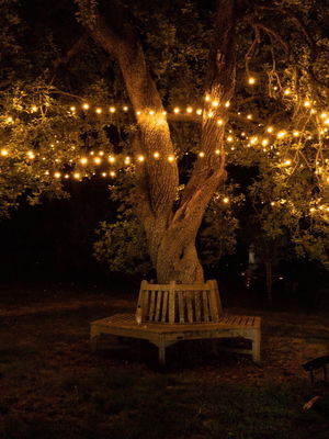 Event Get On Up Function Band Brighton, East Sussex