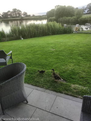 Event The Rips Function Band Northamptonshire