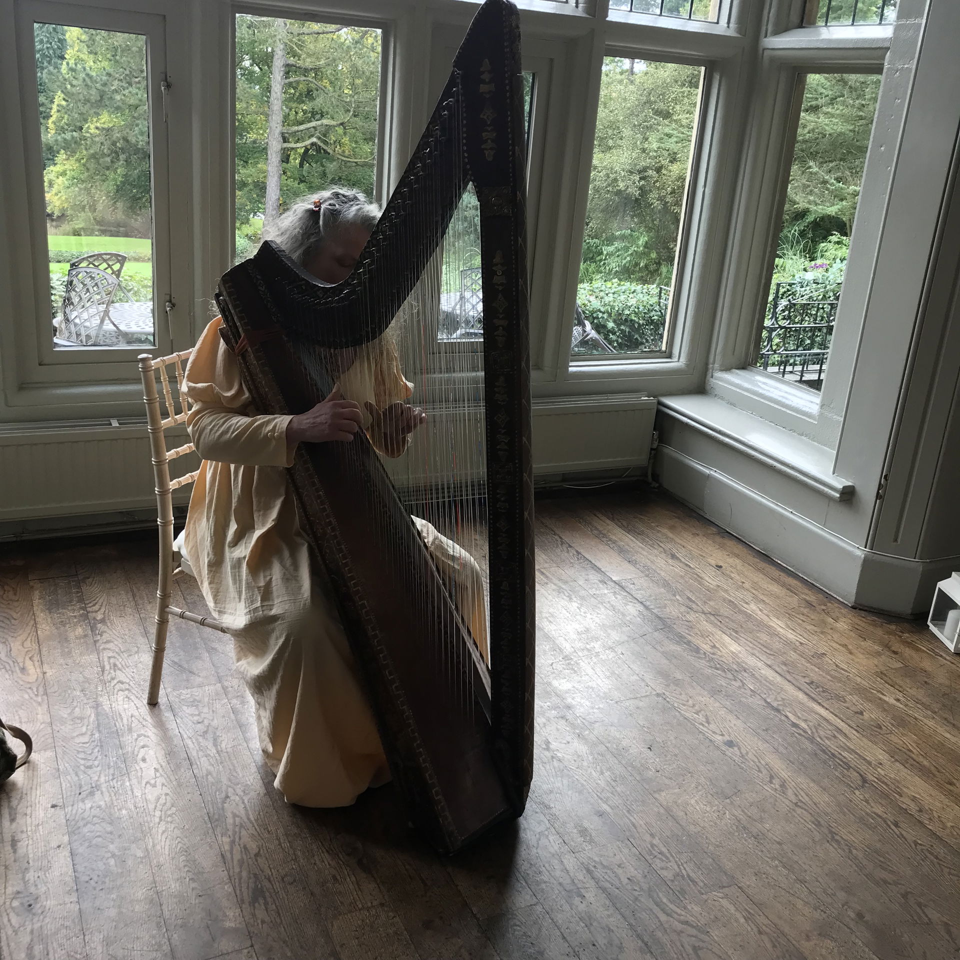 FW Harp (Harpist) Harpist Review Wedding South Yorkshire