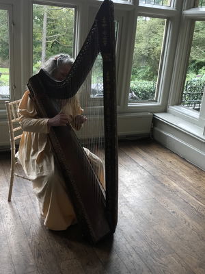 Event FW Harp (Harpist) Harpist West Yorkshire