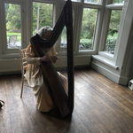 Ian D booked FW Harp (Harpist) for their wedding in South Yorkshire FW Harp (Harpist) Harpist Review Wedding South Yorkshire