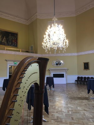 Event J H Harp (Harpist) Concert Harpist Bath, Somerset
