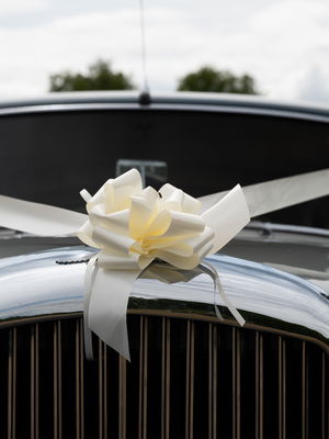 Event Comedy Paparazzi Street Performer East Sussex