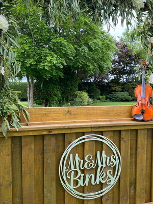 Event Soloise (Electric and Classical Violinist) Electric Violinist London