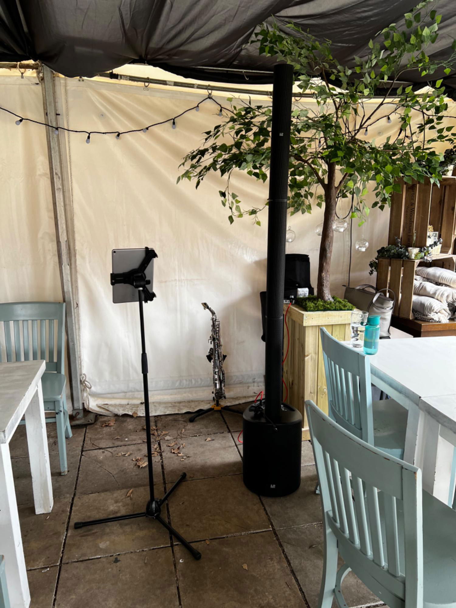 Mads on Sax Saxophonist Review Wedding West Sussex