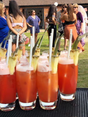 Event Mario Bartenders Cocktail Bartender Bracknell, Berkshire