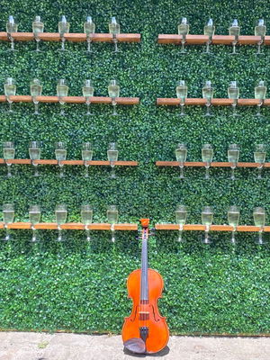 Event Soloise (Electric and Classical Violinist) Electric Violinist London