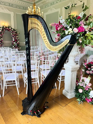 Wedding in Surrey on 12 June 2026