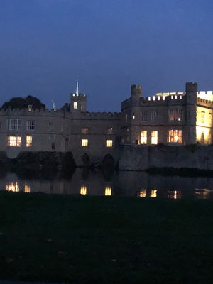 Event Strettone Quartet String Quartet London