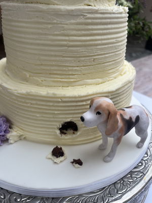 Event Happy Hour Function Band Kent